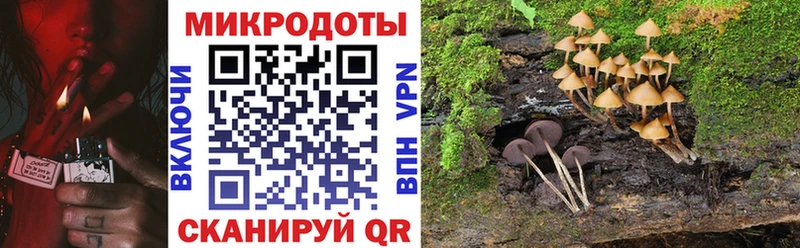 Псилоцибиновые грибы Magic Shrooms  Камешково 
